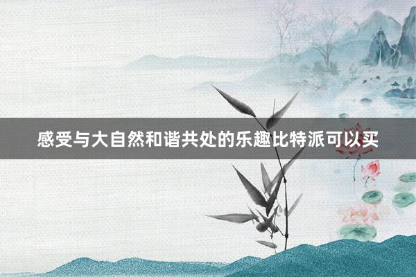 感受与大自然和谐共处的乐趣比特派可以买