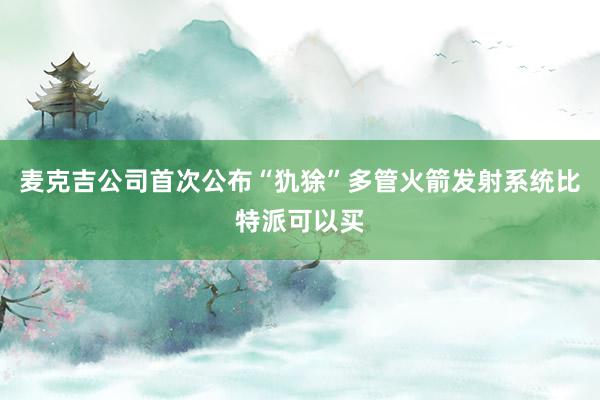 麦克吉公司首次公布“犰狳”多管火箭发射系统比特派可以买