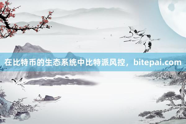 在比特币的生态系统中比特派风控，bitepai.com