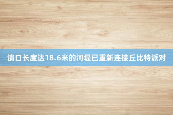 溃口长度达18.6米的河堤已重新连接丘比特派对