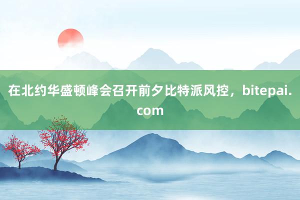 在北约华盛顿峰会召开前夕比特派风控，bitepai.com