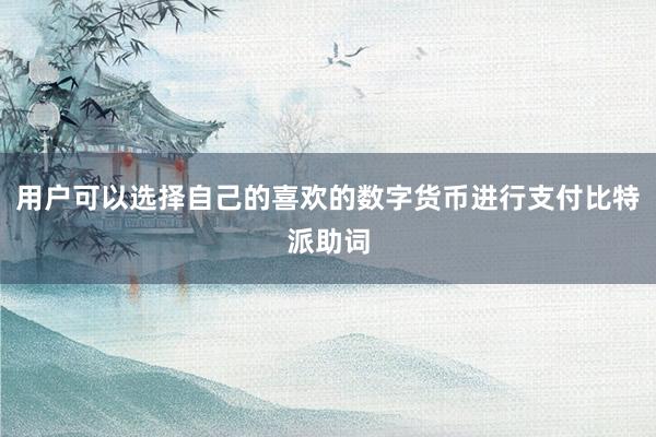 用户可以选择自己的喜欢的数字货币进行支付比特派助词