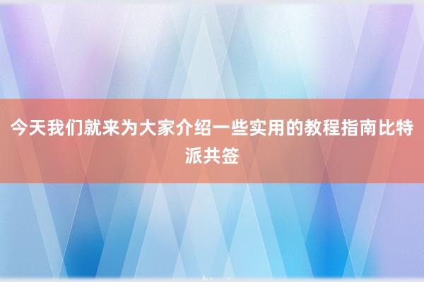 今天我们就来为大家介绍一些实用的教程指南比特派共签