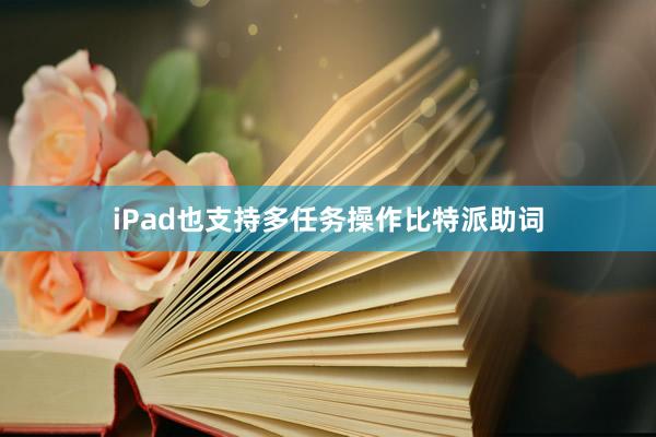 iPad也支持多任务操作比特派助词