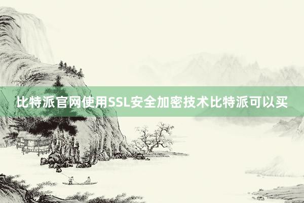 比特派官网使用SSL安全加密技术比特派可以买