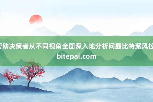 帮助决策者从不同视角全面深入地分析问题比特派风控，bitepai.com