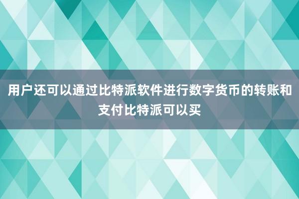 用户还可以通过比特派软件进行数字货币的转账和支付比特派可以买