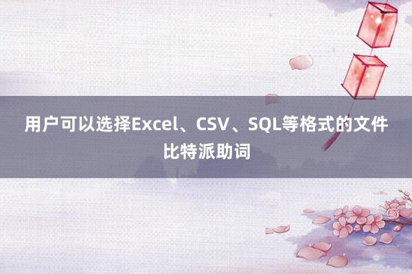 用户可以选择Excel、CSV、SQL等格式的文件比特派助词