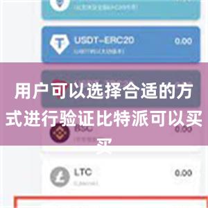 用户可以选择合适的方式进行验证比特派可以买