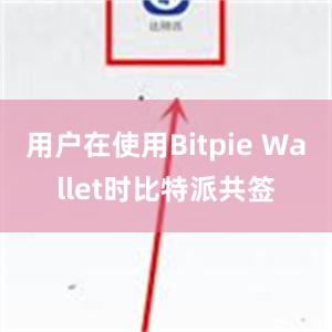 用户在使用Bitpie Wallet时比特派共签