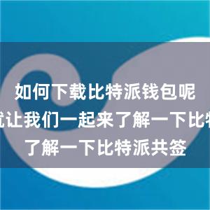 如何下载比特派钱包呢？下面就让我们一起来了解一下比特派共签