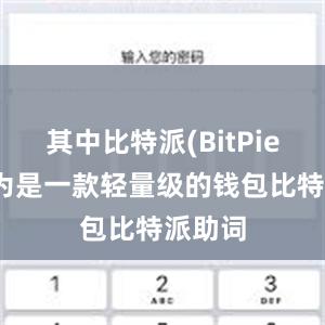 其中比特派(BitPie)被认为是一款轻量级的钱包比特派助词