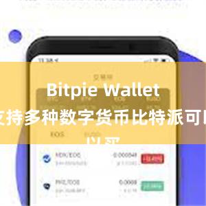 Bitpie Wallet还支持多种数字货币比特派可以买