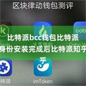 比特派bcc钱包比特派身份安装完成后比特派知乎