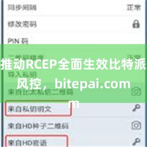 推动RCEP全面生效比特派风控，bitepai.com