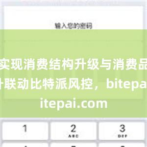 实现消费结构升级与消费品质提升联动比特派风控，bitepai.com