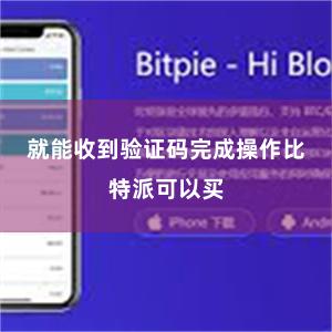 就能收到验证码完成操作比特派可以买