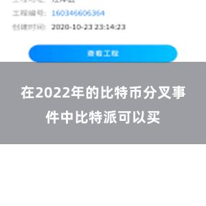 在2022年的比特币分叉事件中比特派可以买